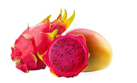 Oregon Fruit Releases New Dragon Fruit Mango Fruit In Hand 2020 11 05