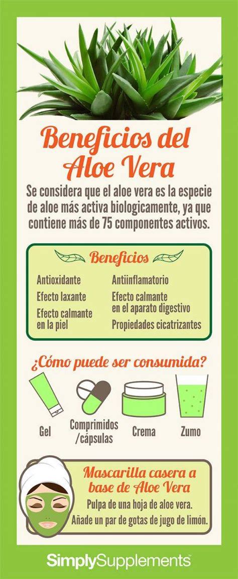 Beneficios Del Aloe Vera Para La Salud Cactus En Su Mundo