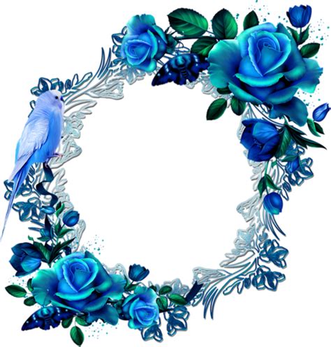 20 Trend Terbaru Transparent Blue Roses Border Png Jeromesitaly