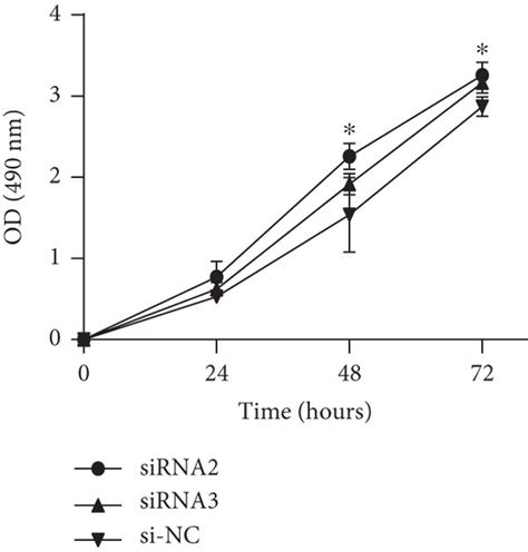 Effect Of Lncrna Apoc1p1 Knockdown On Proliferation Apoptosis Cell