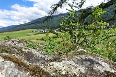 Schalensteine mysteriösen Boten versunkener Welten myinnsbruck