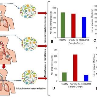 Experimental design and microbiome characterization. (A) Study sample ... 