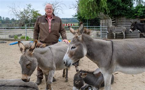 Dormagen Tierhalter in Sorge vor neuer Gebührenordnung