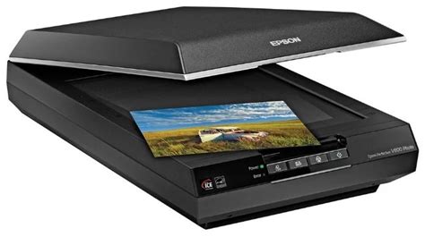 Epson Сканер Perfection V600 Photo, черно-серый купить на OZON по ...