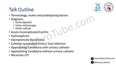 Urinary Tract Infection Clinical Tips Dr Gawad Ppt