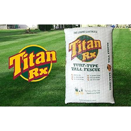 Lbs Details About Titan Rx Turf Type Tall Fescue Grass Seed