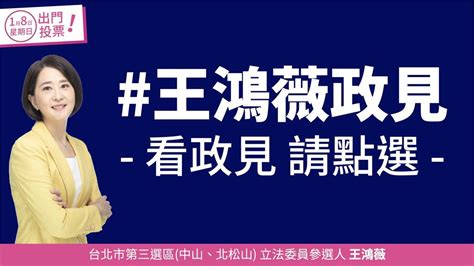 吳怡農酸「沒政見怎辯論」 王鴻薇臉書發文曝政見：這不就來了？