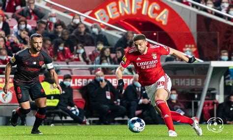 Quem é o maestro do meio campo do SL Benfica