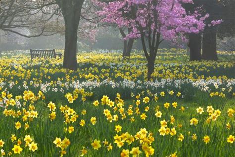 21 Joyous Pictures Of Britain To Raise Your Spirits On The First Day Of