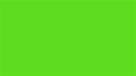 Green Apple Solid Color Background Image | Free Image Generator