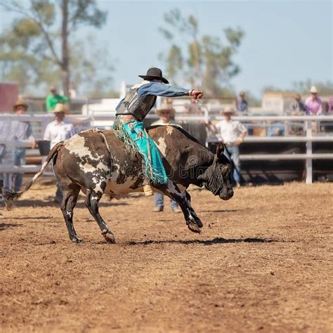 Cowboy Riding Bull at a Country Rodeo Editorial Stock Photo - Image of ...