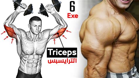 How To Build Your Triceps Workout Fast 6 Effective Exercises Youtube