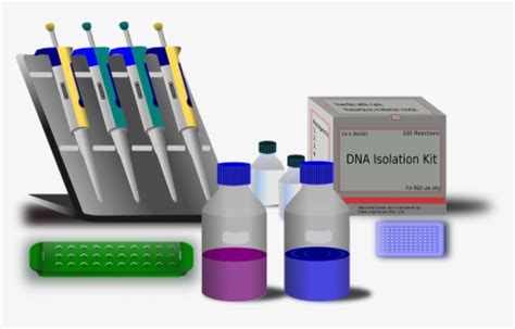 Biology Lab Clipart Png , Free Transparent Clipart - ClipartKey