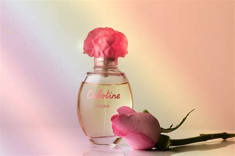 10000 Free Perfume Bottle And Perfume Images Pixabay