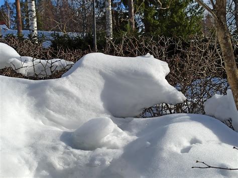 This snow looks like that meme cat : r/mildlyinteresting