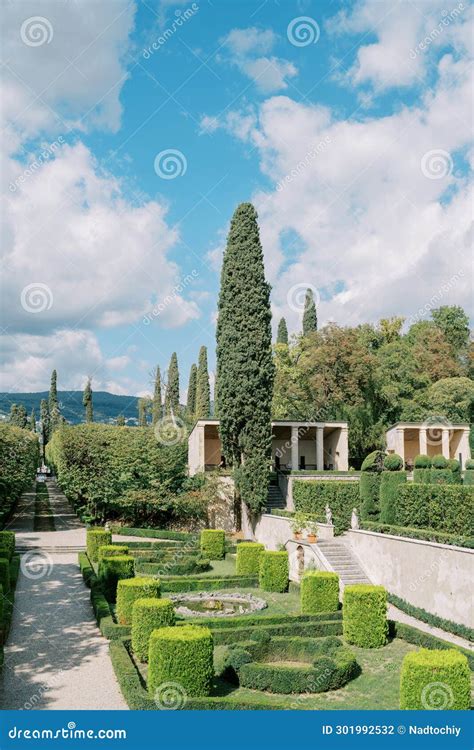 Green Garden With Trimmed Bushes And Trees Stock Photo Image Of