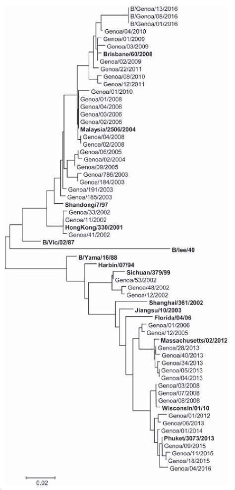 Phylogenetic Analysis Of The Subunit Of The Hemoagglutin Ha