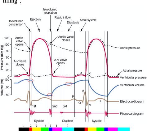 Diastole And Systole Graph