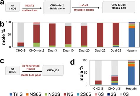 Cho S Dual Clones Demonstrate Highly N Sulfated Heparin Hs A