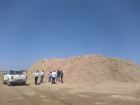 Namibia - Biomass - Mitigation Action Facility 