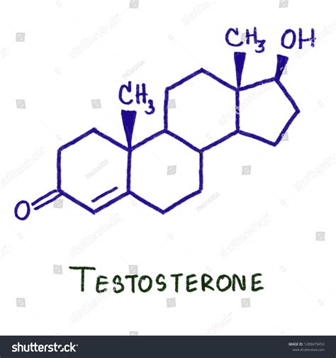Testosterone Primary Male Sex Hormone Anabolic Stock Illustration Shutterstock