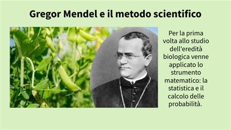 Mendel E La Prima Legge