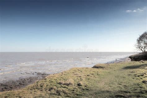 Coastline Along the Essex Countryside Stock Image - Image of erosion ...