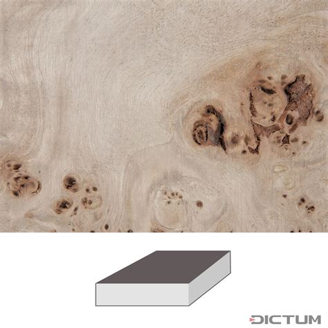 Poplar Burl 150 X 150 X 60 Mm European Wood Dictum