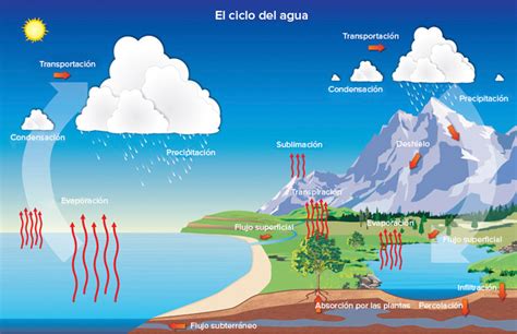 Día Mundial del Agua Cuál es el impacto del cambio climático en el agua