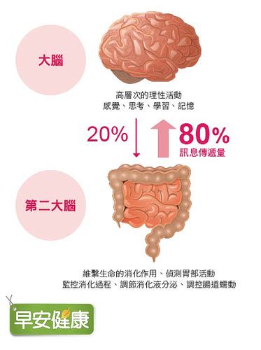 吃對4類食物，養腸穩神經就能從此不失眠 第2頁