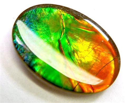 Ammolite Meanings, Properties and Uses - CrystalStones.com