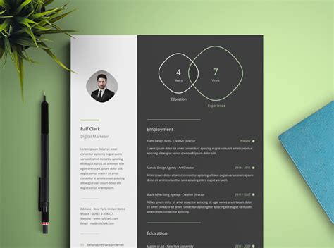 Free Infographic Resume and CV Template in Illustrator (AI) Format – CreativeBooster