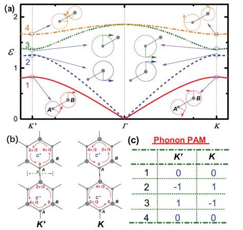 Valley Phonons Of A Honeycomb Ab Lattice A Phonon Dispersion Download Scientific Diagram