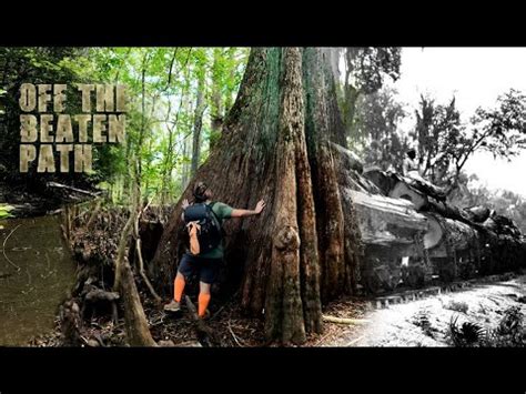 Withlacoochee River Ghost Town Railroad Youtube