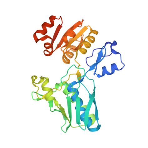 Rcsb Pdb Sr Structural Genomics A Crystal Structure Of