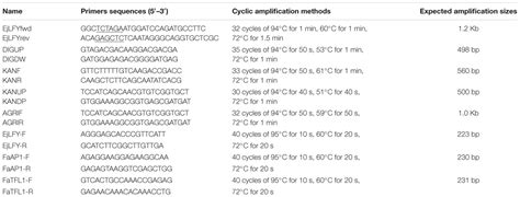 Frontiers Over Expression Of Ejlfy 1 Leads To An Early Flowering Habit In Strawberry Fragaria