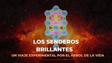 Audiolibro Los Senderos Brillantes Una Meditaci N Guiada Por El