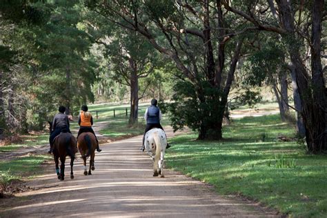 Horse riding | ForestrySA