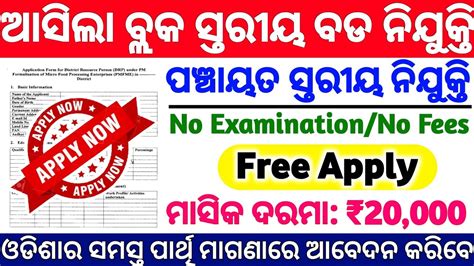 Odisha Block Level Jobs 2022 Free Apply Block Level Job Odisha Govt