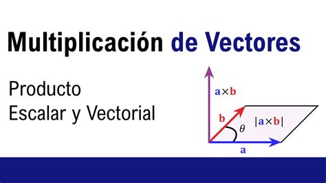 Multiplicación De Vectores Producto Escalar Y Vectorial Youtube