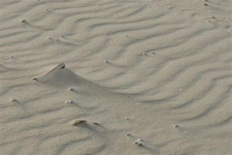 Nationalpark Haus Juist Nationalpark Wattenmeer