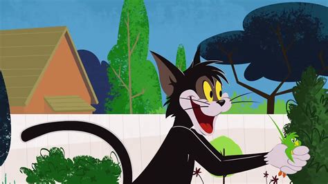 Tom And Jerry Show S 01 E 13 D Birds Of A Feather ‎loocaa Video