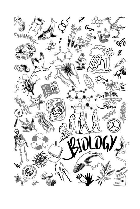 Hand Drawn Biological Doodle Set School Notebook Cover Biology Icons Lettering Biology