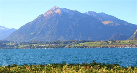 Gunung Danau Thun Pegunungan Alpen Foto Gratis Di Pixabay Pixabay