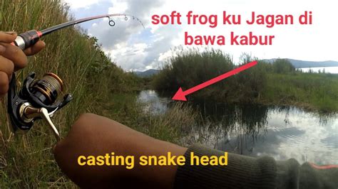 Casting Snake Head Casting Gabus Umpan Soft Frog Castinggabus