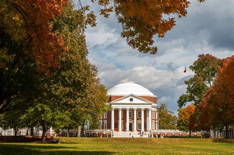 UVA Leads the State in Research Awards for Early-Career Faculty