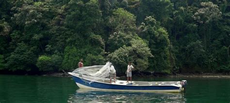 El Grupo Xito Lleva M S De A Os Promoviendo La Pesca Artesanal En