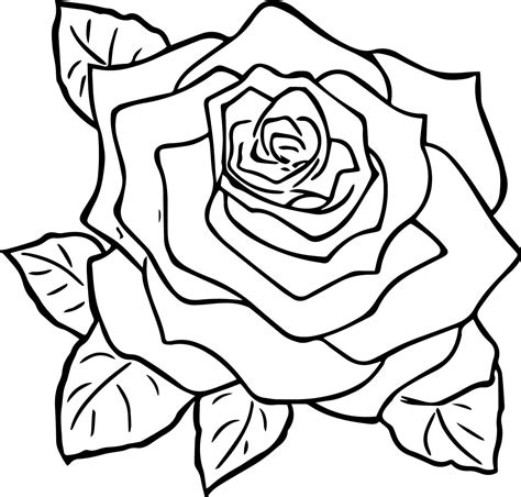 rose style coloring page wecoloringpagecom