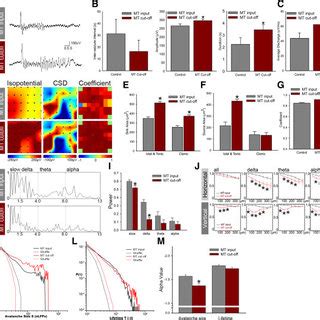 Modulation of network dynamics by thalamic inputs in vitro. A, Typical ...