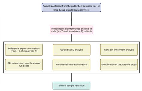 Jcdd Free Full Text Sex Differences In Arteriovenous Fistula